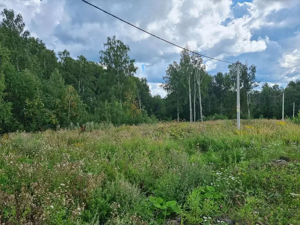 Участок в Ленинградская область, Всеволожский район, Колтушское ... - Фото 2