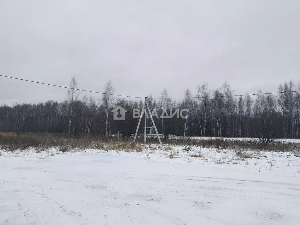 Участок в Нижегородская область, с. Безводное  (10.0 сот.) - Фото 1