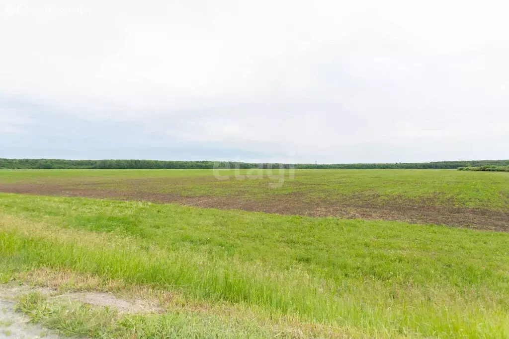 Участок в Тюменская область, Тобольский муниципальный округ, ... - Фото 2