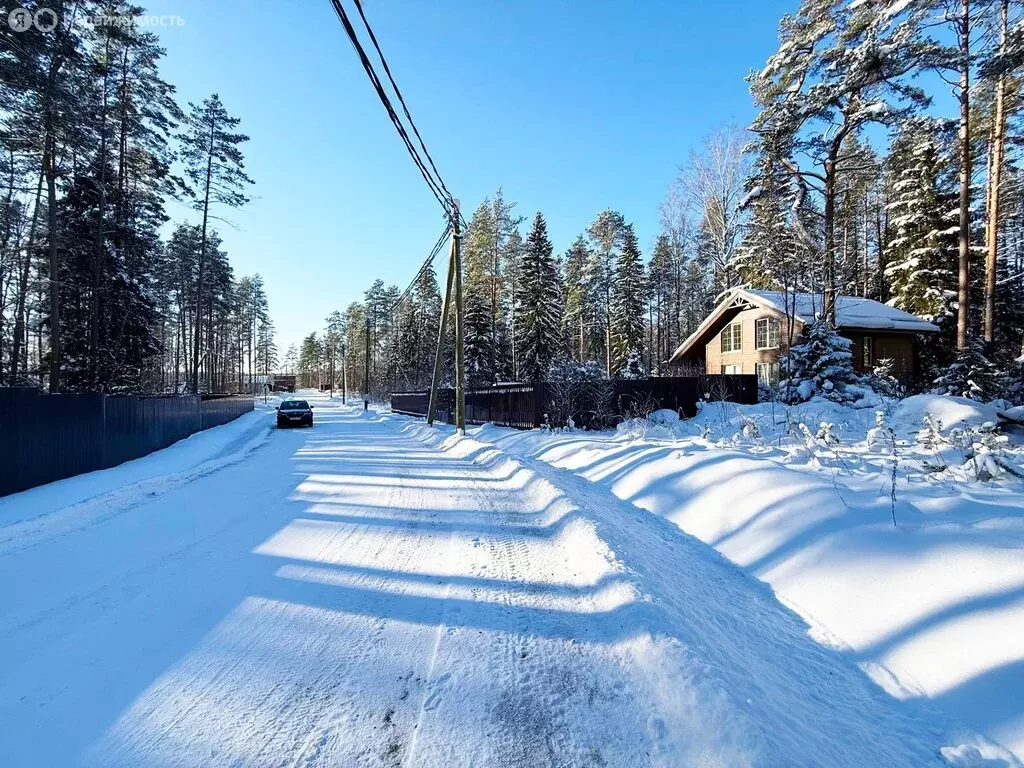 Участок в Выборгский район, Приморское городское поселение, коттеджный ... - Фото 1