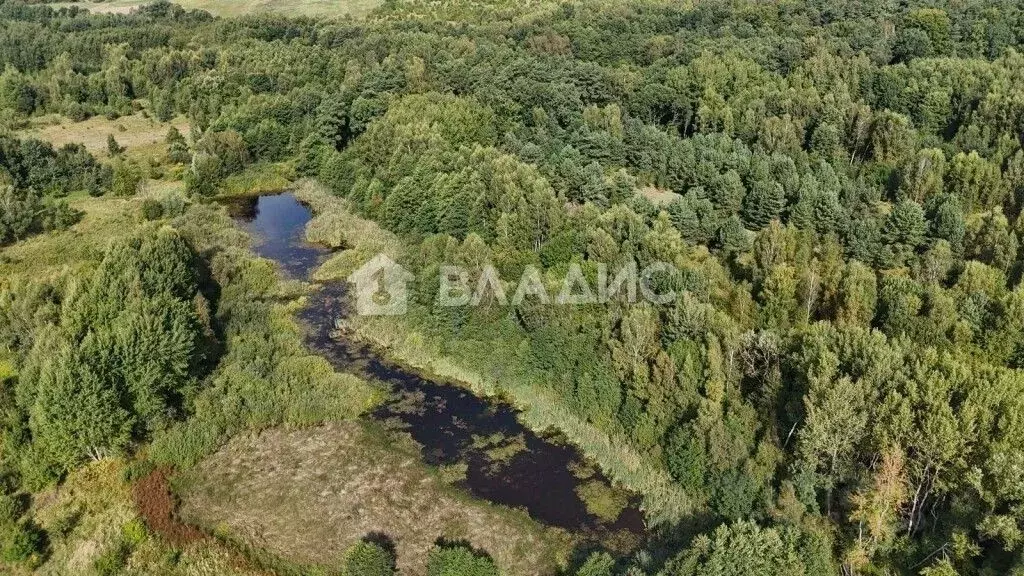 Участок в Калининградская область, Багратионовский муниципальный ... - Фото 1
