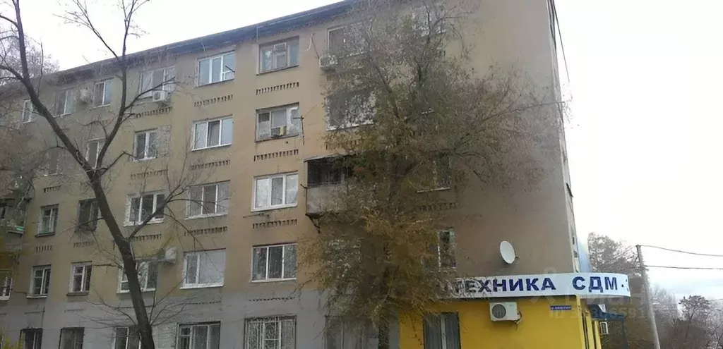 1-к кв. Саратовская область, Энгельс просп. Строителей, 39 (18.0 м) - Фото 1