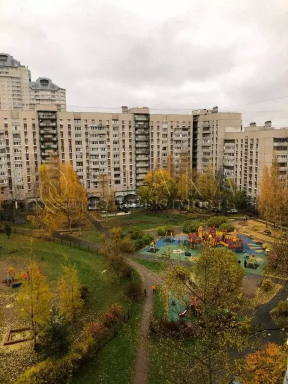 3-комнатная квартира: Санкт-Петербург, проспект Луначарского, 7к2 ... - Фото 1