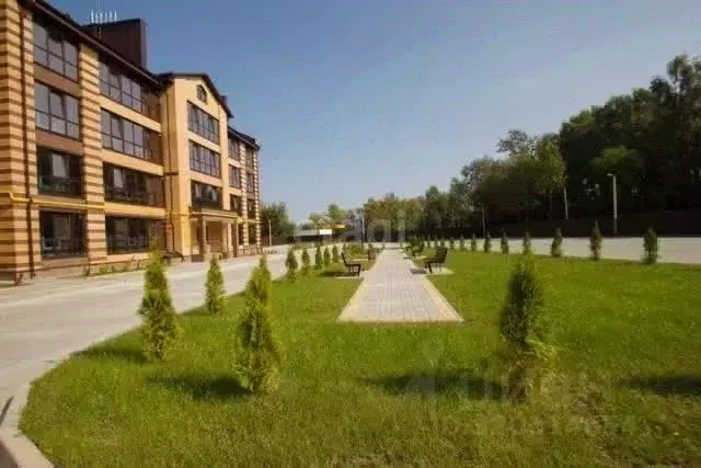 1-к кв. Калужская область, Калуга Заречная ул., 113 (41.8 м) - Фото 2