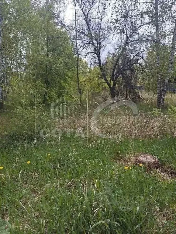 Участок в Воронежская область, с. Новая Усмань ул. Октябрьская, 325 ... - Фото 0
