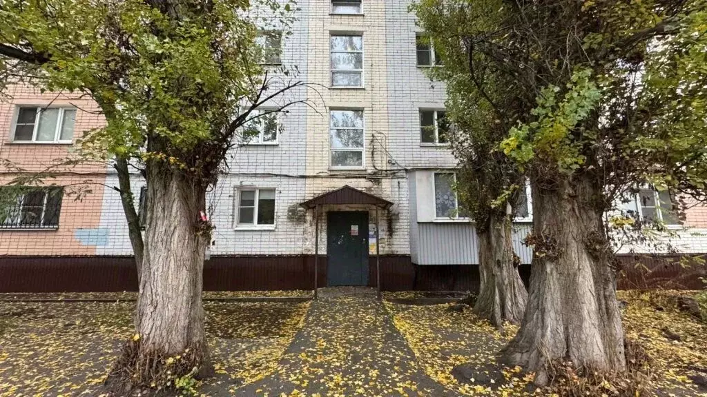 1-к кв. Липецкая область, Липецк ул. Жуковского, 7 (12.7 м) - Фото 1