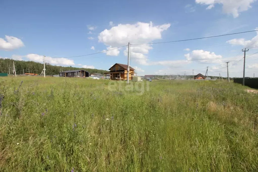 Участок в Челябинская область, Сосновский район, Кременкульское с/пос, ... - Фото 1