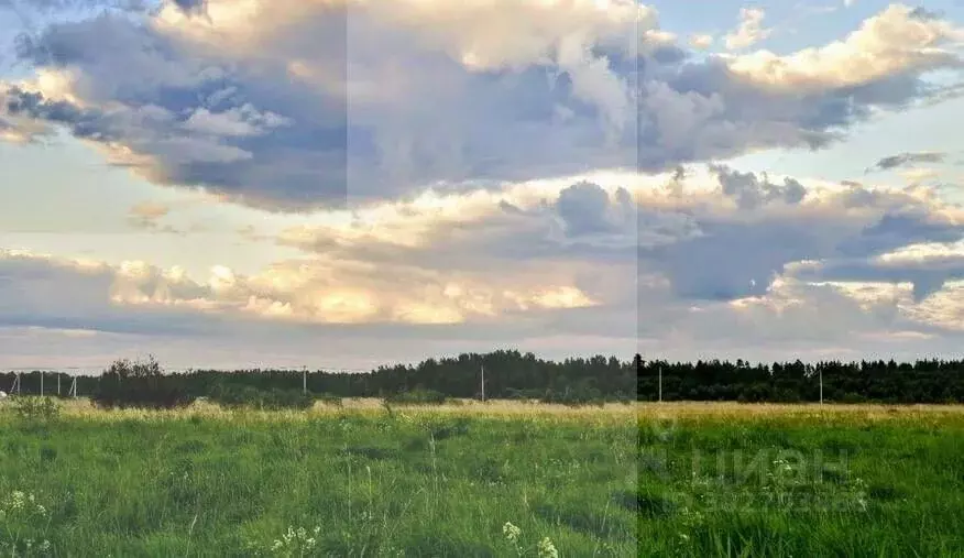 Участок в Ленинградская область, Кировский район, Назиевское городское ... - Фото 1