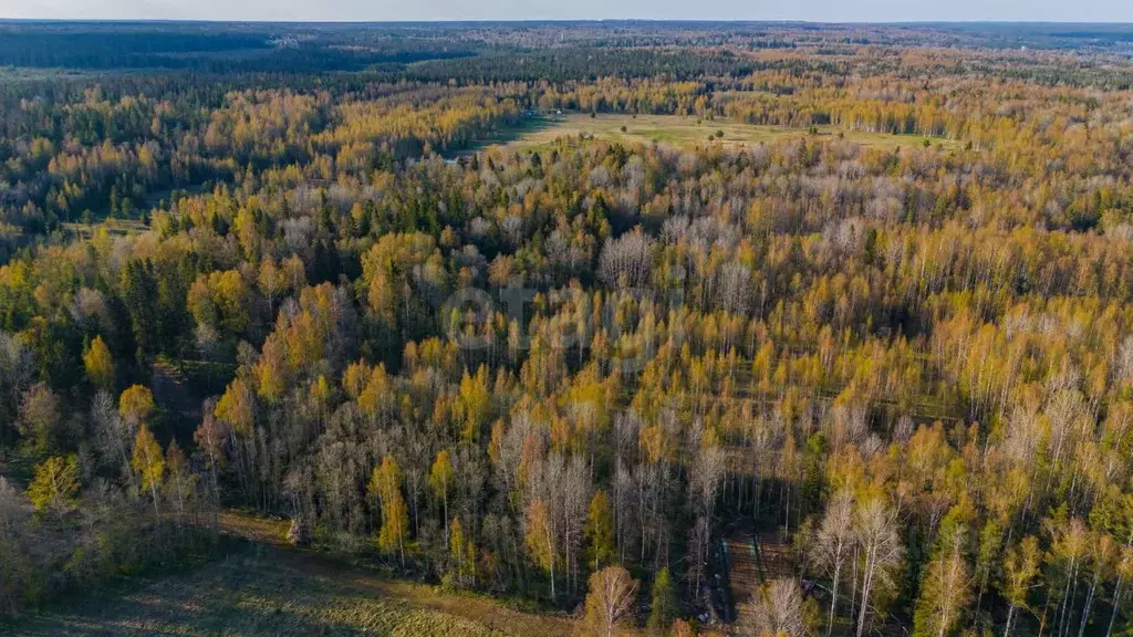 Участок в Ленинградская область, Всеволожский район, Куйвозовское ... - Фото 0