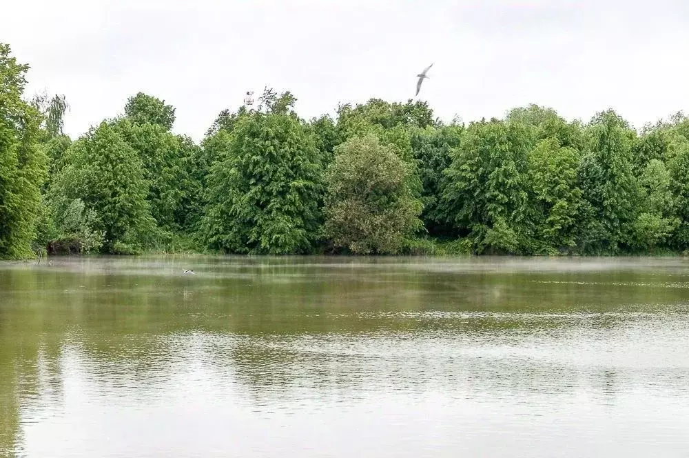 Участок в Московская область, Ступино городской округ, с. Щапово  ... - Фото 2