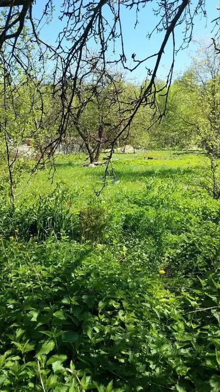 Участок в Московская область, Балашиха городской округ, д. Фенино 35 ... - Фото 1