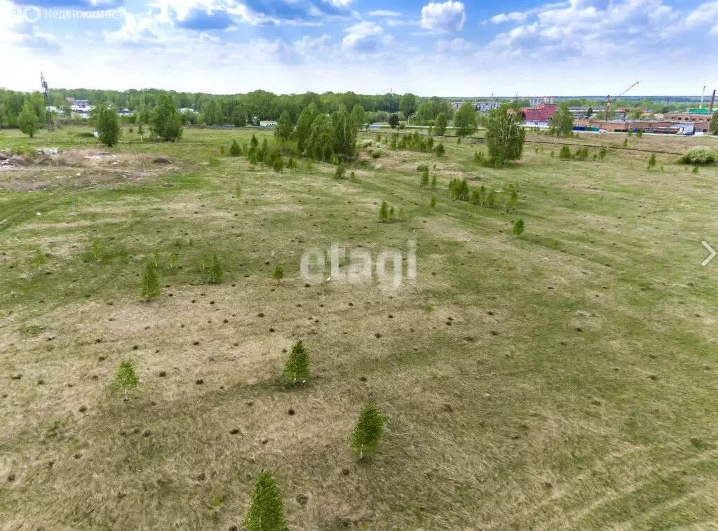 Участок в Новосибирский район, Кудряшовский сельсовет, СНТ Волна (10 ... - Фото 0