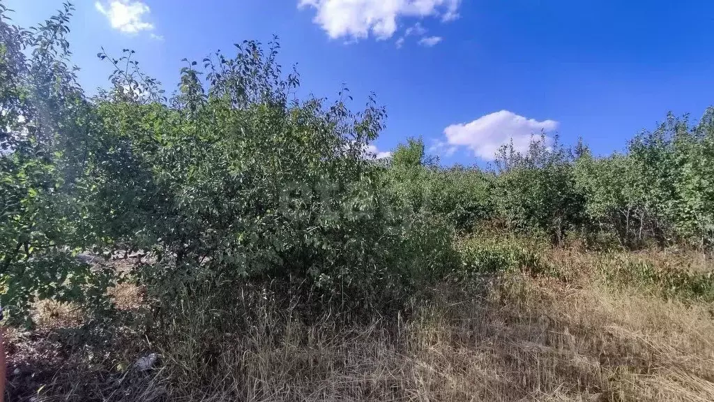 Участок в Ставропольский край, Ставрополь Зеленый Яр садовое ... - Фото 2