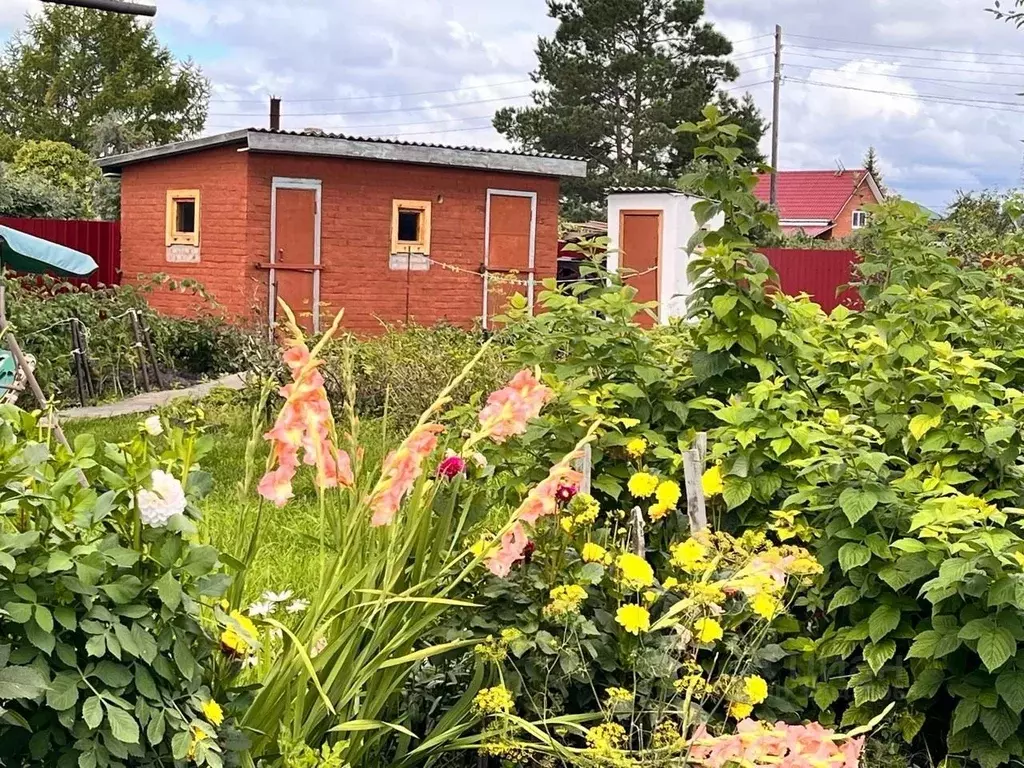 Дом в Омская область, Омск СОСН Полет-2 тер., аллея 7-я (50 м) - Фото 2