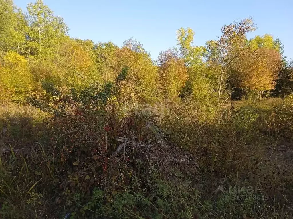 Участок в Краснодарский край, Горячий Ключ муниципальный округ, ... - Фото 0
