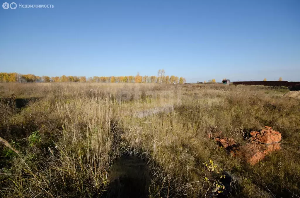 Участок в Хохлово, Новая улица (20 м) - Фото 2