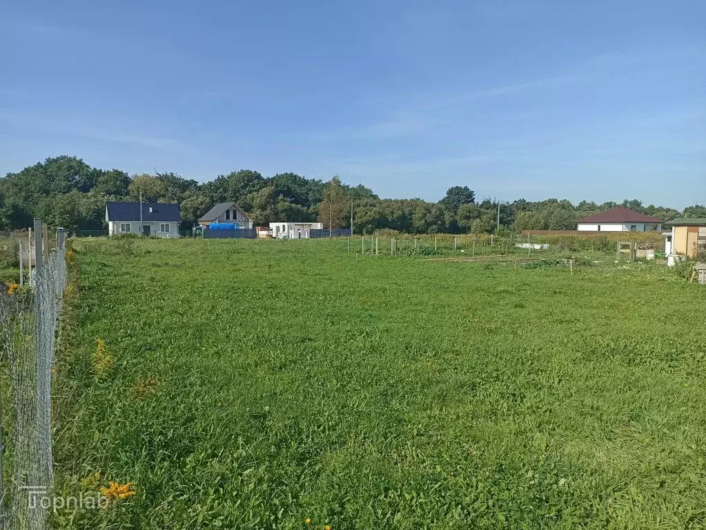 Участок в Калининградская область, Гурьевский муниципальный округ, ... - Фото 1