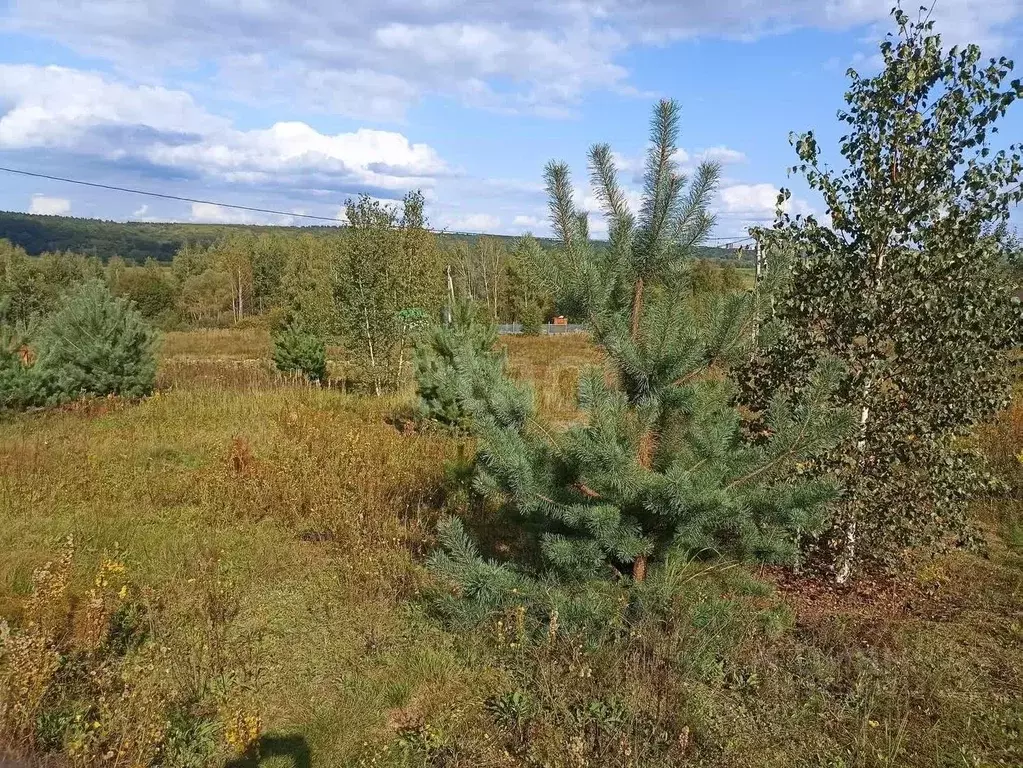 Участок в Калужская область, Калуга городской округ, д. Колюпаново  ... - Фото 2