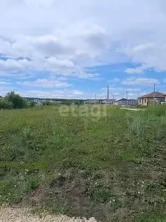 Участок в Липецкая область, Добровский муниципальный округ, с. Большой ... - Фото 1