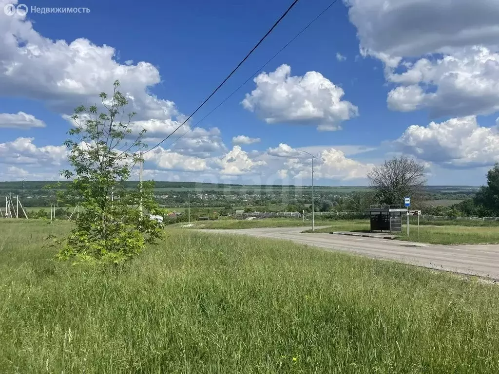 Участок в Белгородская область, Яковлевский муниципальный округ, село ... - Фото 2
