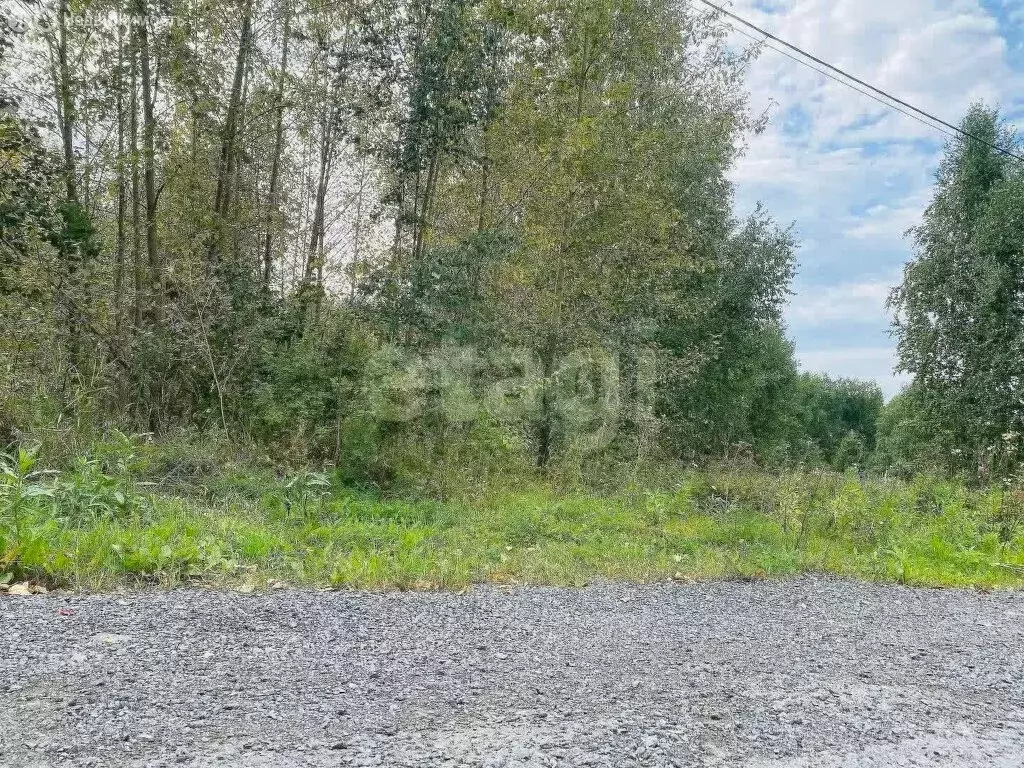 Участок в Тюмень, ДНП Звенящие Кедры Тюмени, Лазурная улица (4 м) - Фото 2