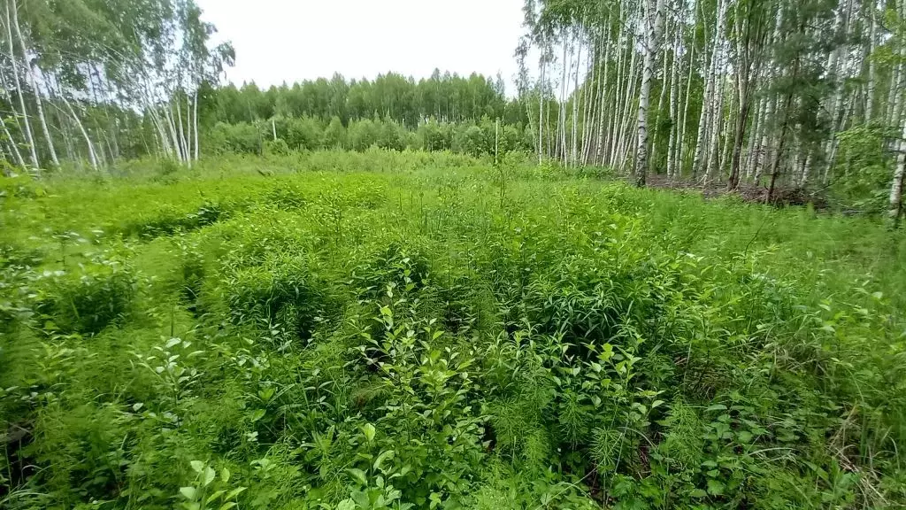 Участок в Нижегородская область, Дальнеконстантиновский муниципальный ... - Фото 0