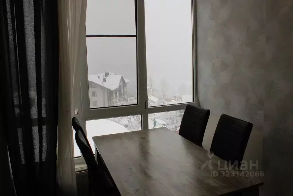 Студия Краснодарский край, Сочи Красная Поляна пгт, ул. Турчинского, ... - Фото 1