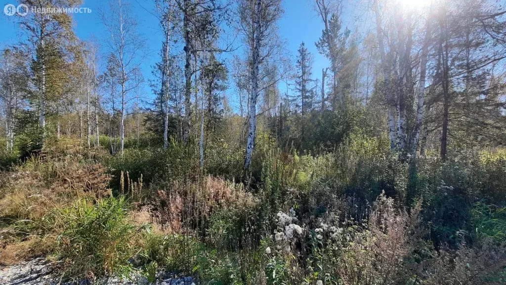 Участок в село Мостовское, Еловая улица, 12 (17 м) - Фото 1