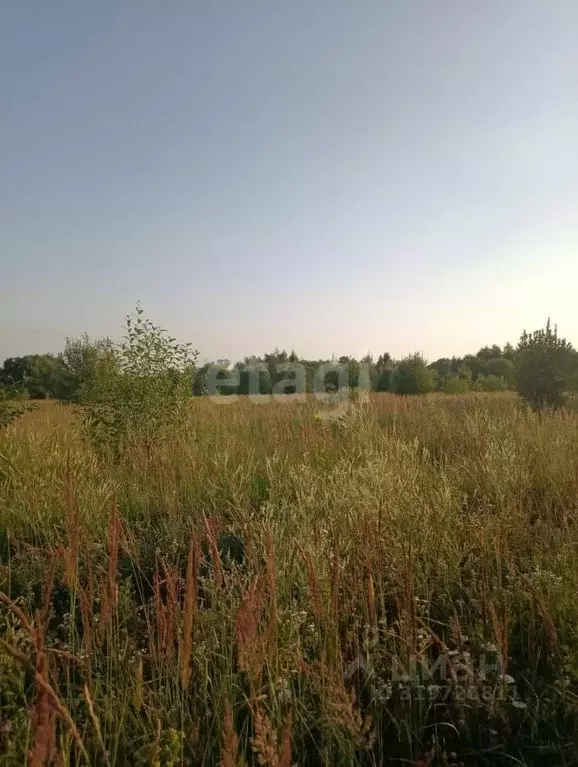 Участок в Тульская область, Алексин городской округ, д. Самойлово  ... - Фото 0