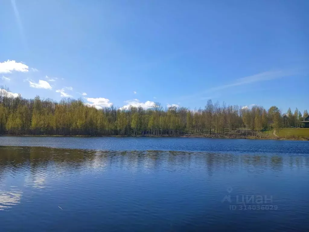 Участок в Ленинградская область, Кировский район, Мгинское городское ... - Фото 0