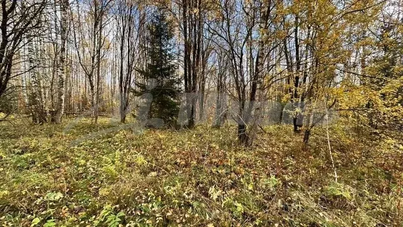 Участок в Московская область, Наро-Фоминский городской округ, ... - Фото 2