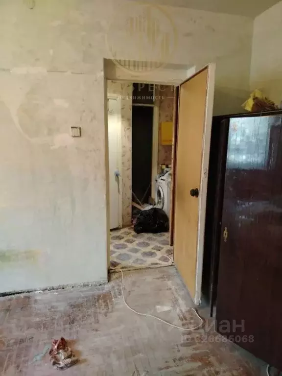 1-к кв. Ставропольский край, Кисловодск ул. Калинина, 12 (30.0 м) - Фото 2