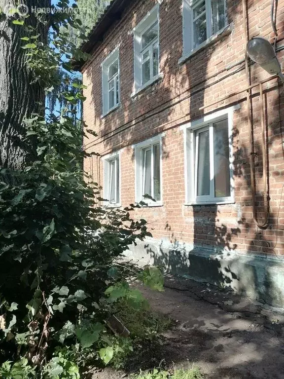 1-комнатная квартира: Павлово, Инициативная улица, 4 (30.5 м) - Фото 0
