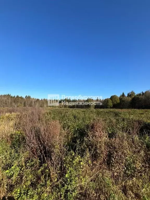 Участок в Ленинградская область, Лужский район, Толмачевское городское ... - Фото 1