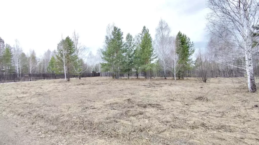 Участок в Курганская область, Кетовский муниципальный округ, Березки-1 ... - Фото 1
