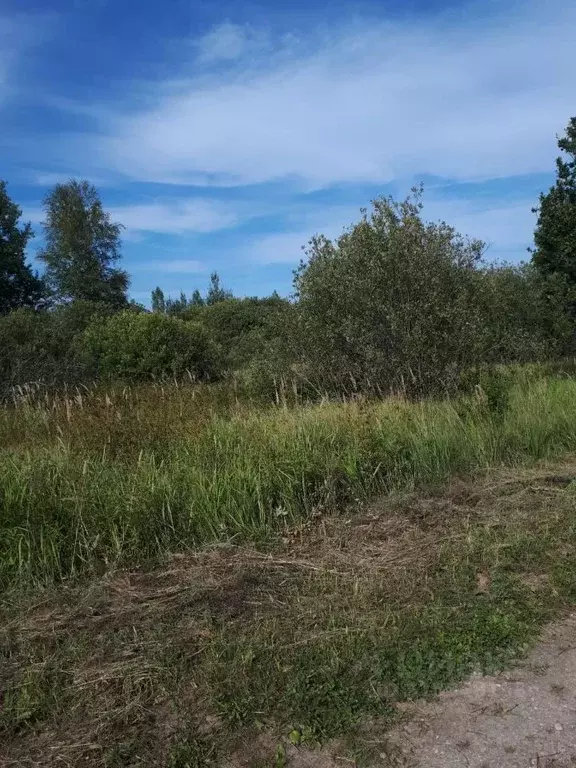 Участок в Новгородская область, Чудово  (10.0 сот.) - Фото 2