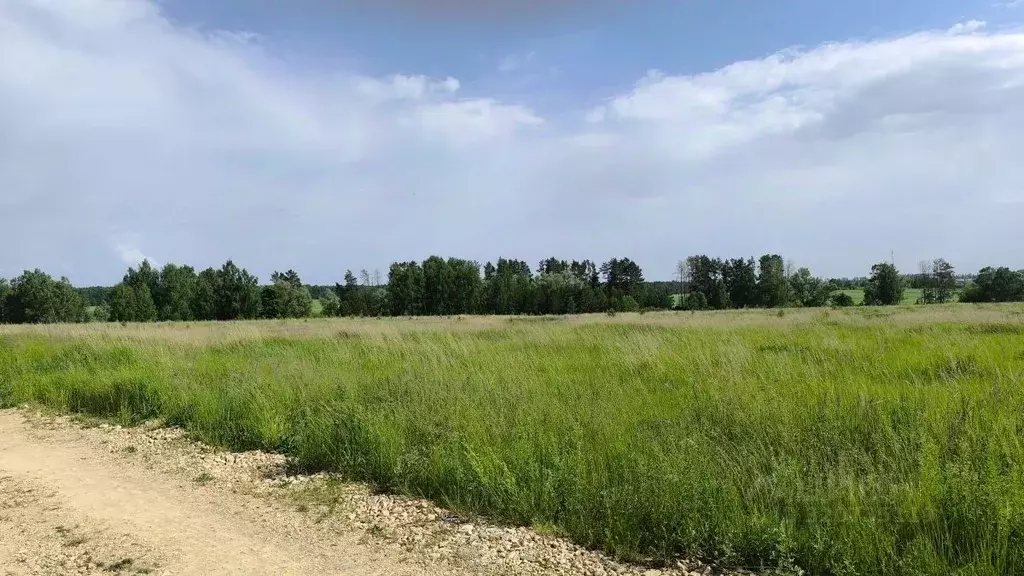 Дом в Татарстан, Лаишевский район, Егорьевское с/пос, д. Каипы, Новые ... - Фото 1