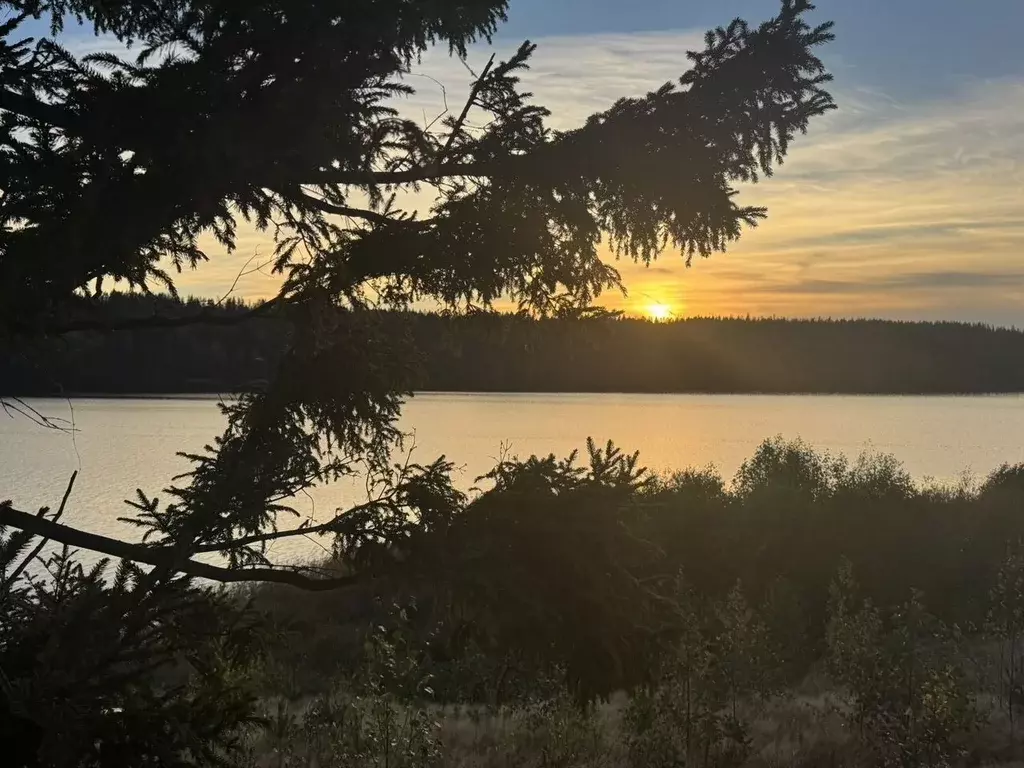 Участок в Ленинградская область, Выборгский район, Полянское с/пос, ... - Фото 2