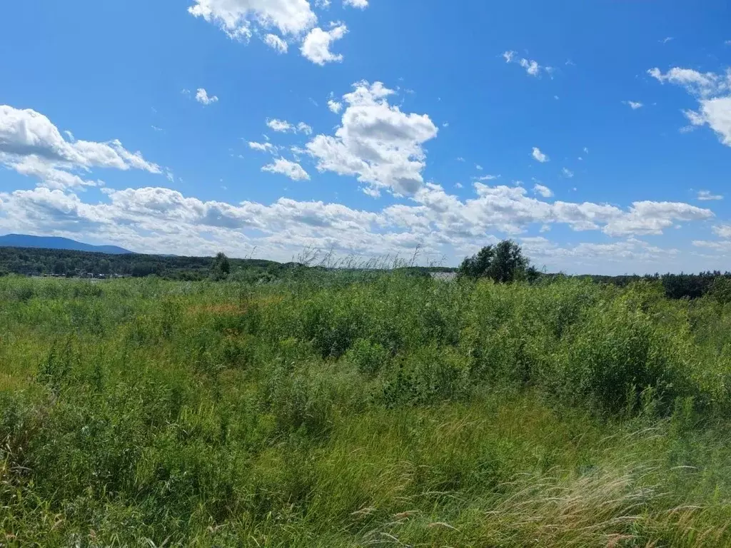 Участок в Хабаровский край, Хабаровский район, с. Краснореченское пер. ... - Фото 2
