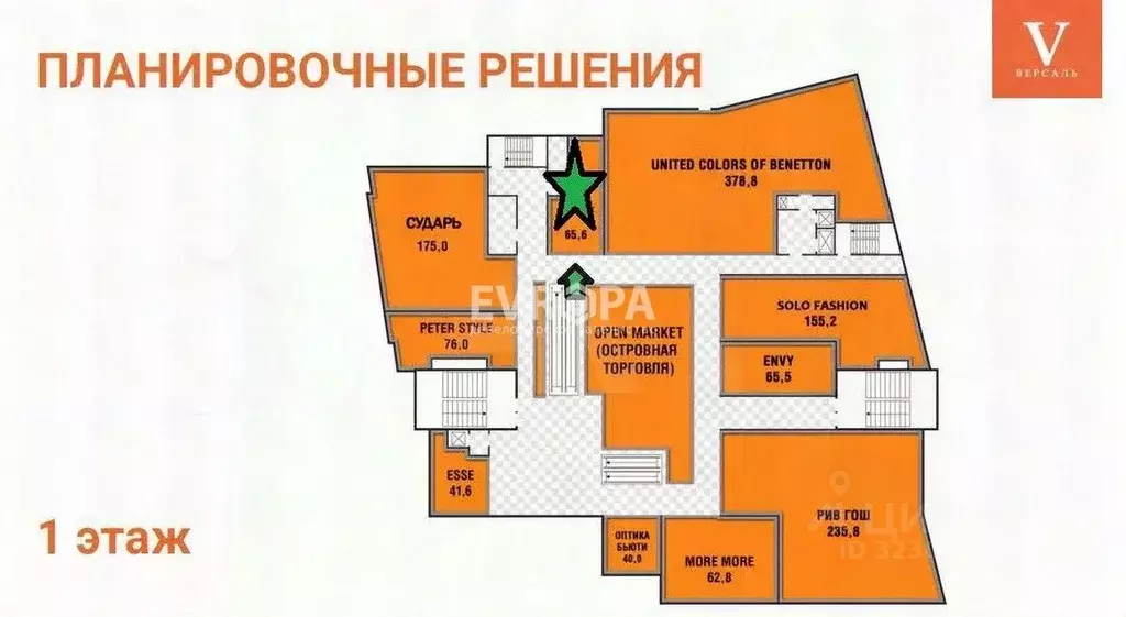 Торговая площадь в Ульяновская область, Ульяновск ул. Дворцовая, 4А/1 ... - Фото 2
