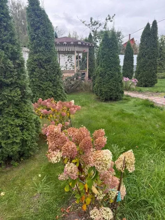 Дом в Московская область, Раменский муниципальный округ, Раменье СНТ ... - Фото 2