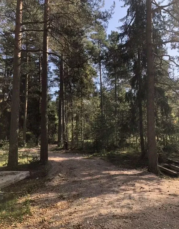 Участок в Ленинградская область, Луга  (16.0 сот.) - Фото 2