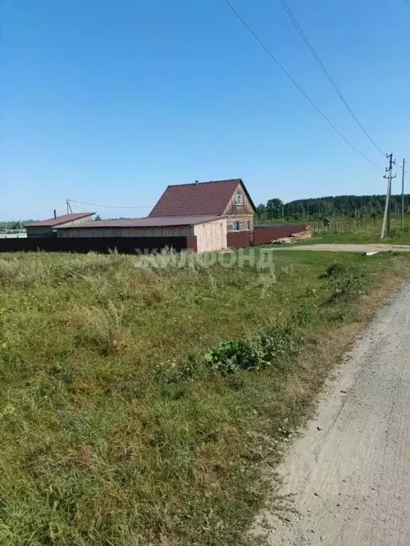 Участок в Новосибирская область, Мошковский район, с. Белоярка ул. ... - Фото 0