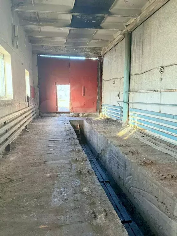 Свободного назначения, 85 м - Фото 1