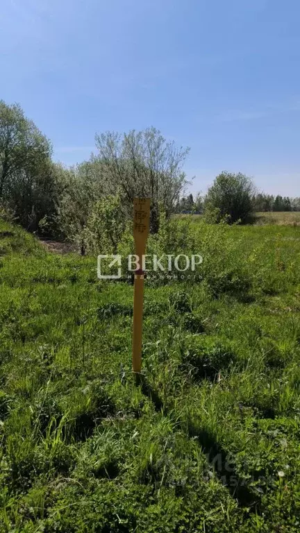 Участок в Костромская область, Кострома ул. Родная (9.5 сот.) - Фото 1