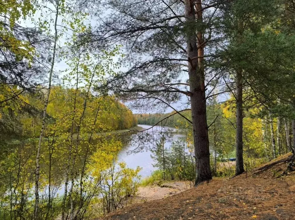 Участок в Карелия, Кондопожский район, Гирвасское с/пос  (10.0 сот.) - Фото 0