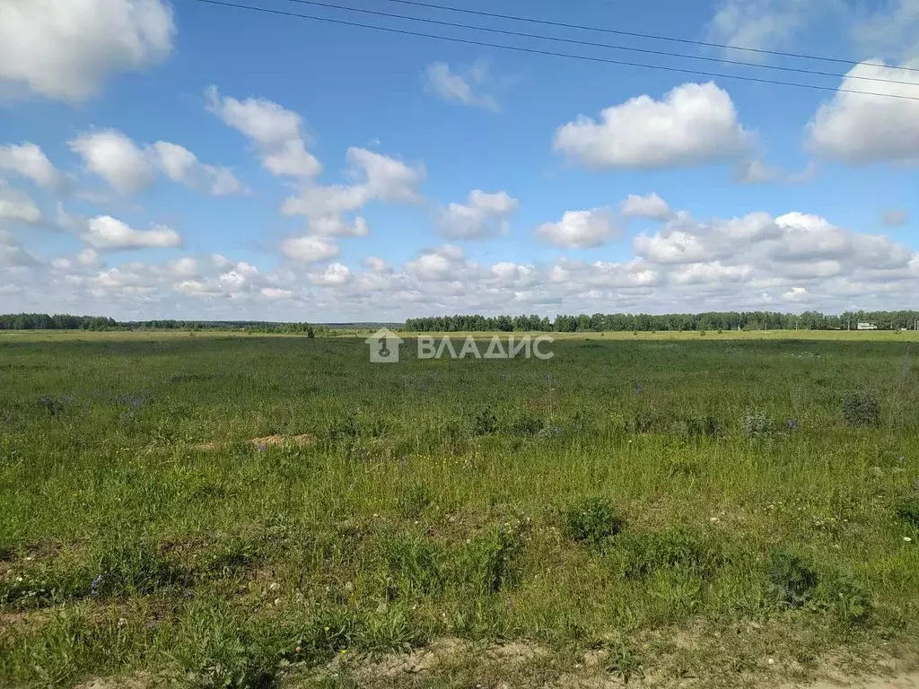 Участок в Ивановская область, Лежневское с/пос, с. Ухтохма  (10.0 ... - Фото 0