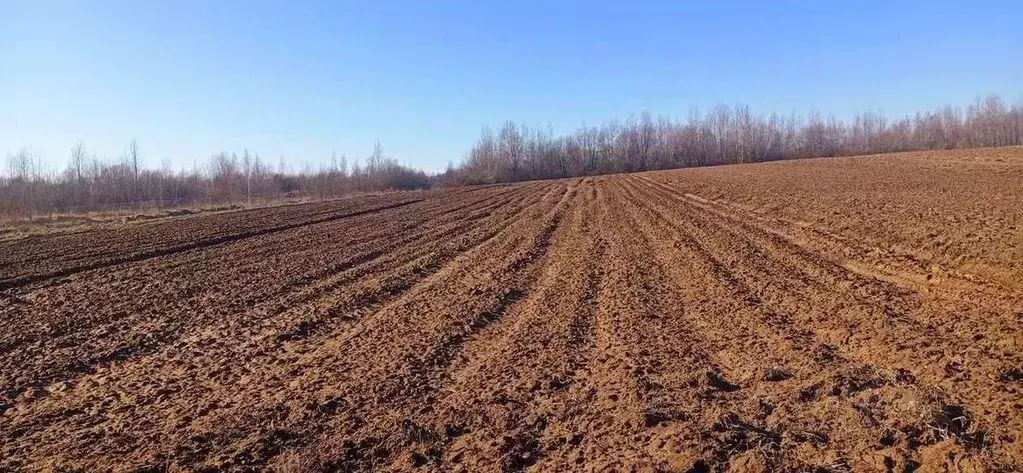 Участок в Новгородская область, Новгородский район, Ракомское с/пос, ... - Фото 2