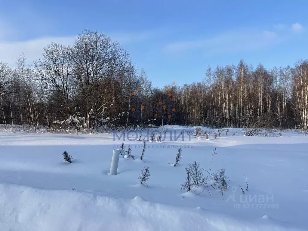 Участок в Московская область, Ступино городской округ, Станица ... - Фото 1