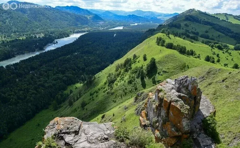Участок в Алтайский район, Айский сельсовет, село Ая (2210 м) - Фото 0
